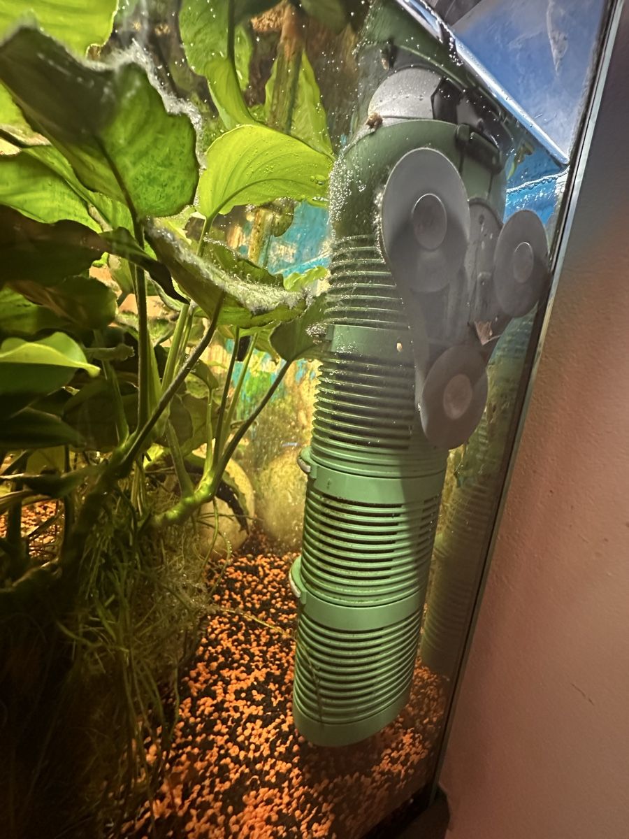 Aquarium: Aquarium complete Set with Cabinet and Filter – Gebraucht aus Wädenswil von puh_n8wy 1