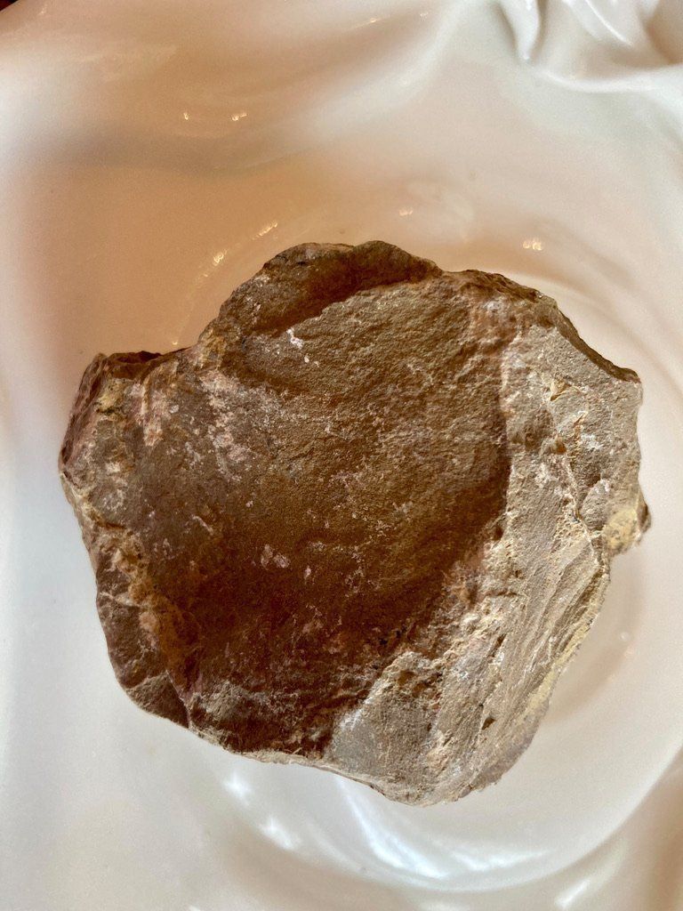 Pietre preziose: Stromatolith roh Heilstein – Nuovo (secondo la descrizione) da Biberist venduto da Steine 2