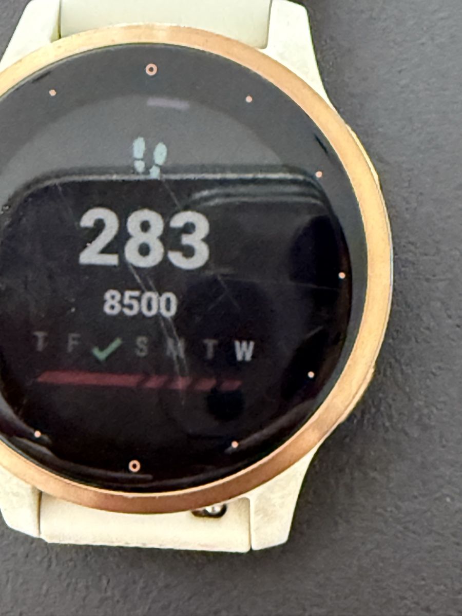 Garmin Smartwatch: Garmin Vivoactive 4S weiss mit Ladekabel – D'occasion à Wettswil par Catli610 2