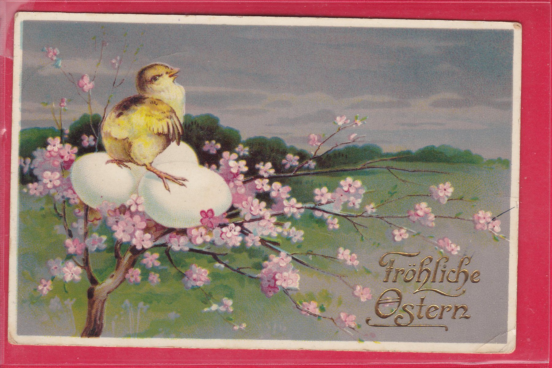 Cartoline postali: FRÖHLICHE OSTERN, 12.4.1911 – Usato da Oberrieden venduto da Gebirgsstelze