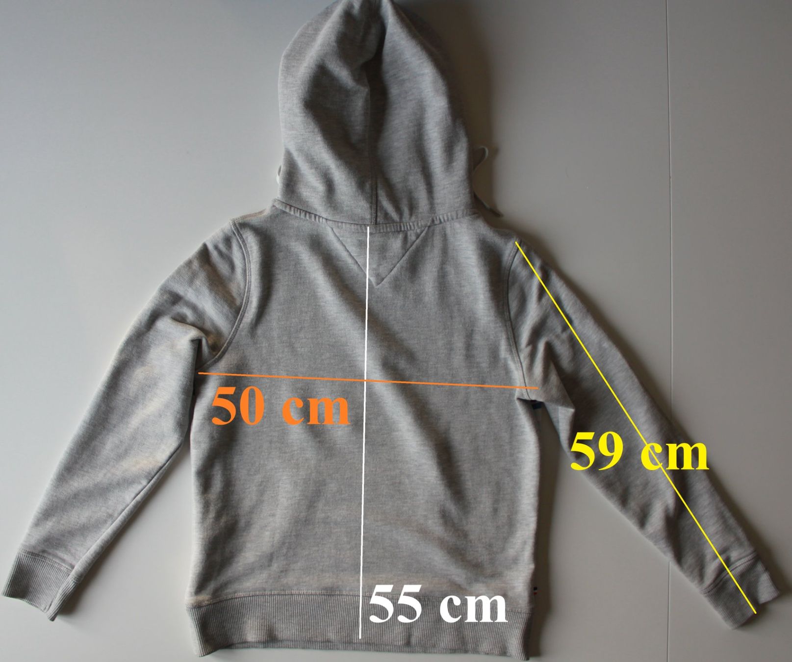 Tommy Hilfiger Maglioni & Felpe: Tommy Jeans Sweat à capuche gris    t.S – Usato da Peseux venduto da Gilloss 6