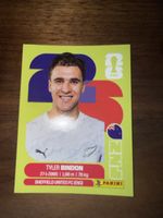 Panini Fifa NZL 7
