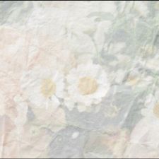 Profile image of Lele_00