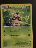 Pokemon Karte Igamaro XY01, Promo deutsch 