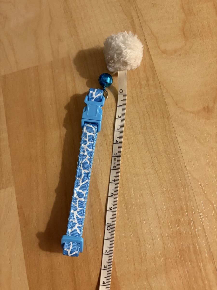 Nastri decorativi: Halsband für Katze - Hund hellblau – Nuovo e nell'imballaggio originale da Galgenen venduto da Miachelle 2