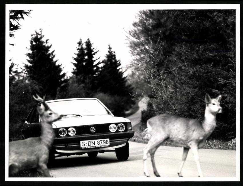Fotografie & Manifesti: Fotografie Auto Volkswagen VW Scirocco,  – Usato da Berlin venduto da bartko-reher