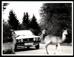 Fotografie Auto Volkswagen VW Scirocco, 