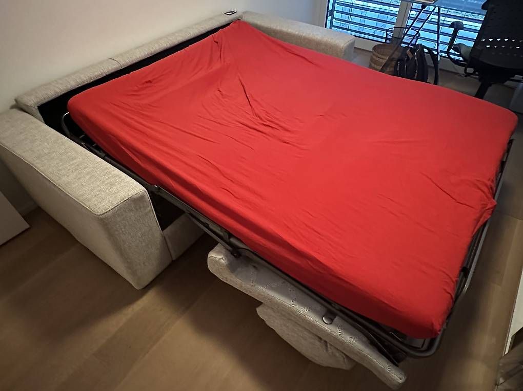 Divani: Schlafsofa – Usato da Basel venduto da Mjenal 2