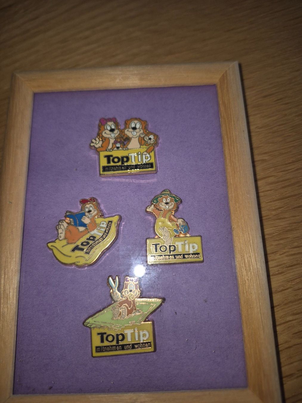 Placchette & Badge: Pin Set Top Tip – Usato da Buttikon SZ venduto da sefa02 1