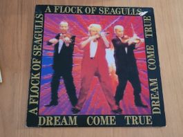 LP  A Flock Of Seagulls