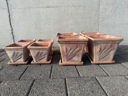 4 grosse und 4 kleine Terracotta Töpfe eckig Lavendelmotiv