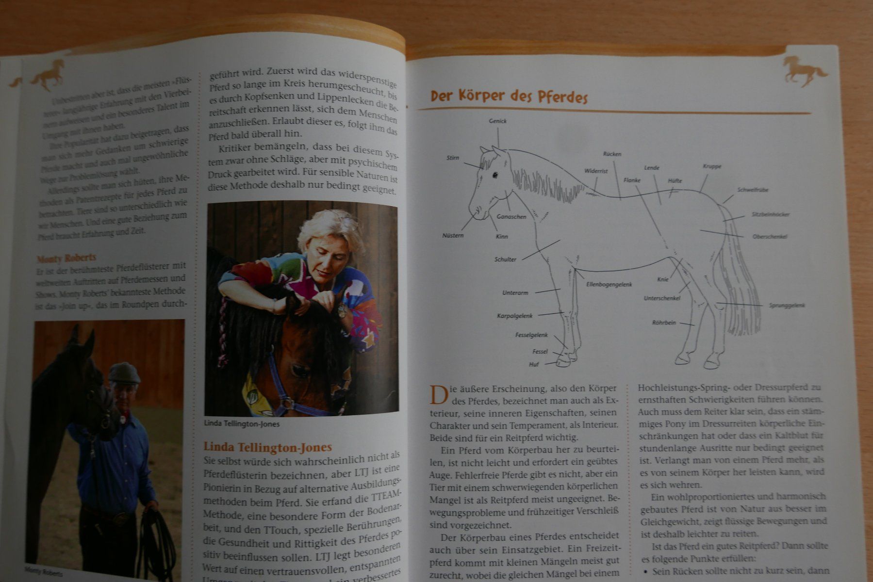 Livres: Buch Mein Pferd und ich – D'occasion à Rotkreuz par nigal 5