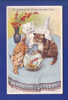 CHAT - Chatons et bocal de poissons