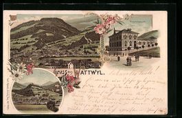 Litho Wattwyl, Gesamtansicht, Webschulge