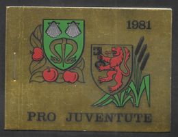 Markenheftchen Pro Juventute Nr. 30 1981 **
