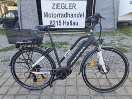 E-Bike Phoenix LD6.0 25km/h Lieferung möglich