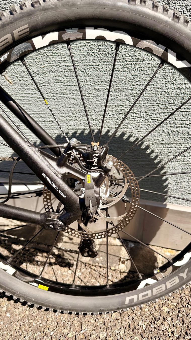 Canyon Biciclette: Canyon Nerve AL 9.0 SL – Usato da Uetikon am See venduto da PepeSiesta 5