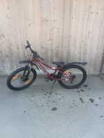 California Velo 24"