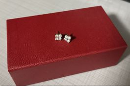 Ohrringe vielleicht mit Diamanten
