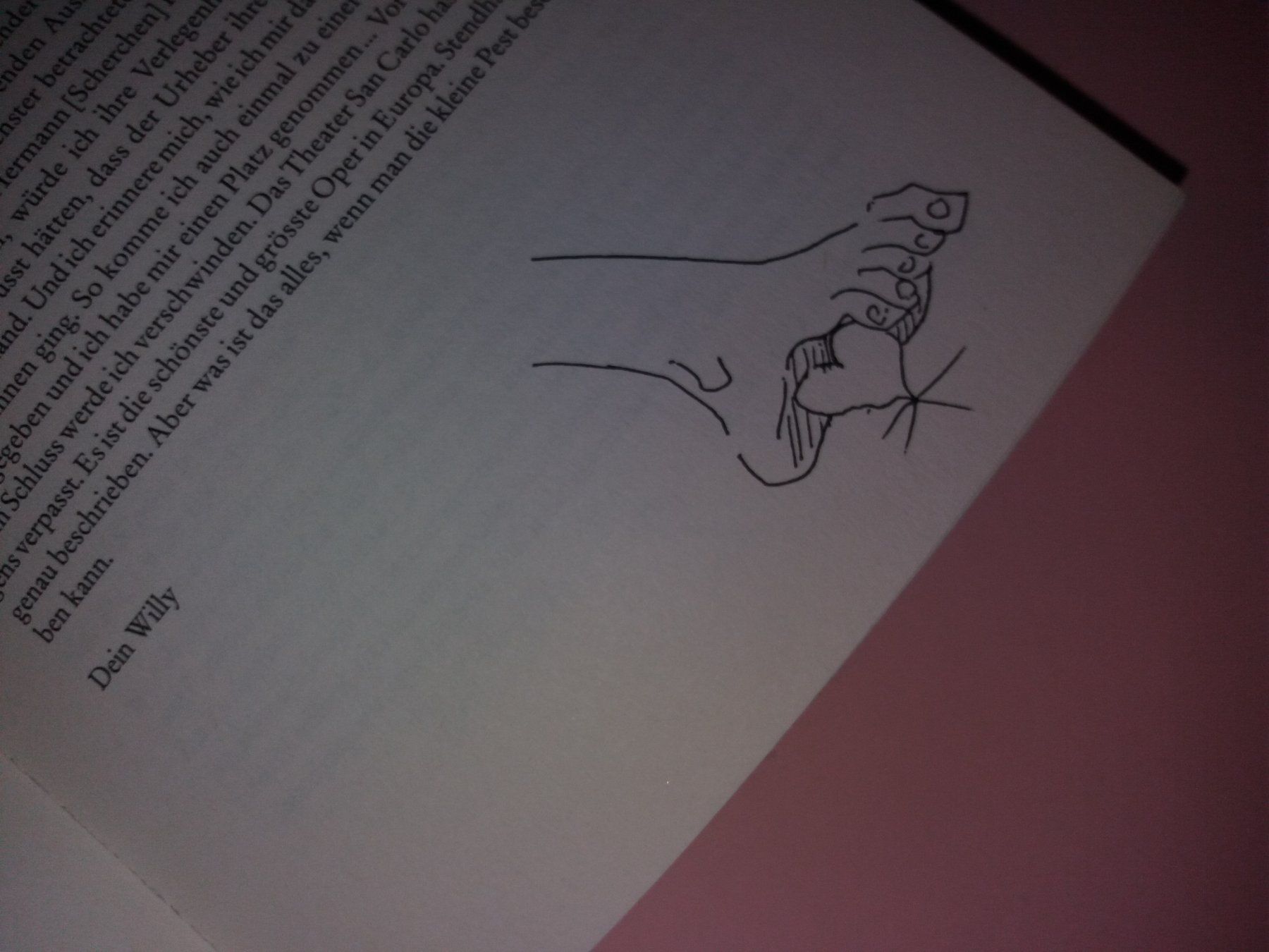 Libri: Varlin – Usato da Welschenrohr venduto da Regool 1