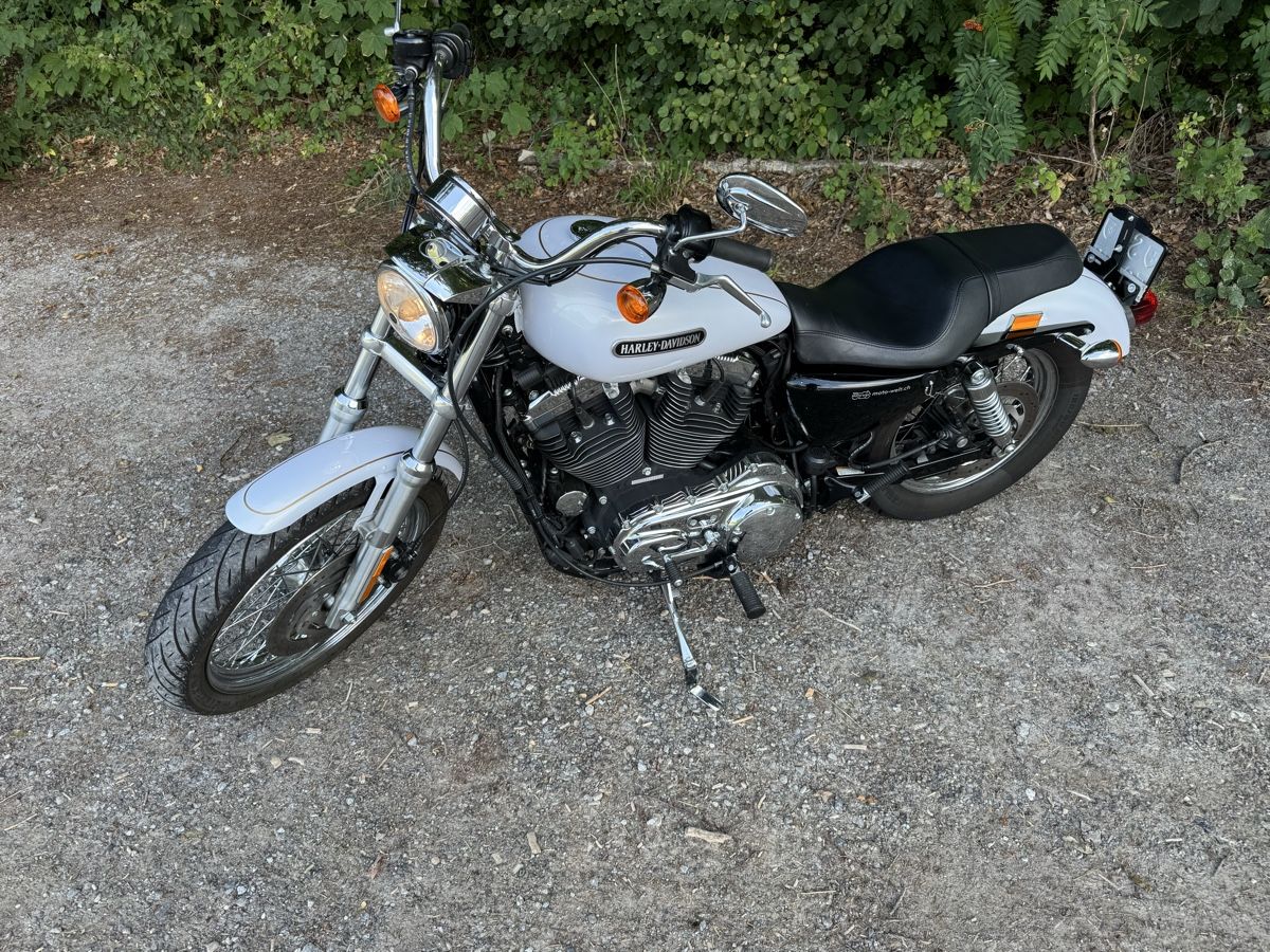 Harley-Davidson Chopper: Harley Davidson XL 1200 L – Gebraucht aus Nesslau von cwaege