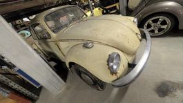 VW Cox Käfer 1302S