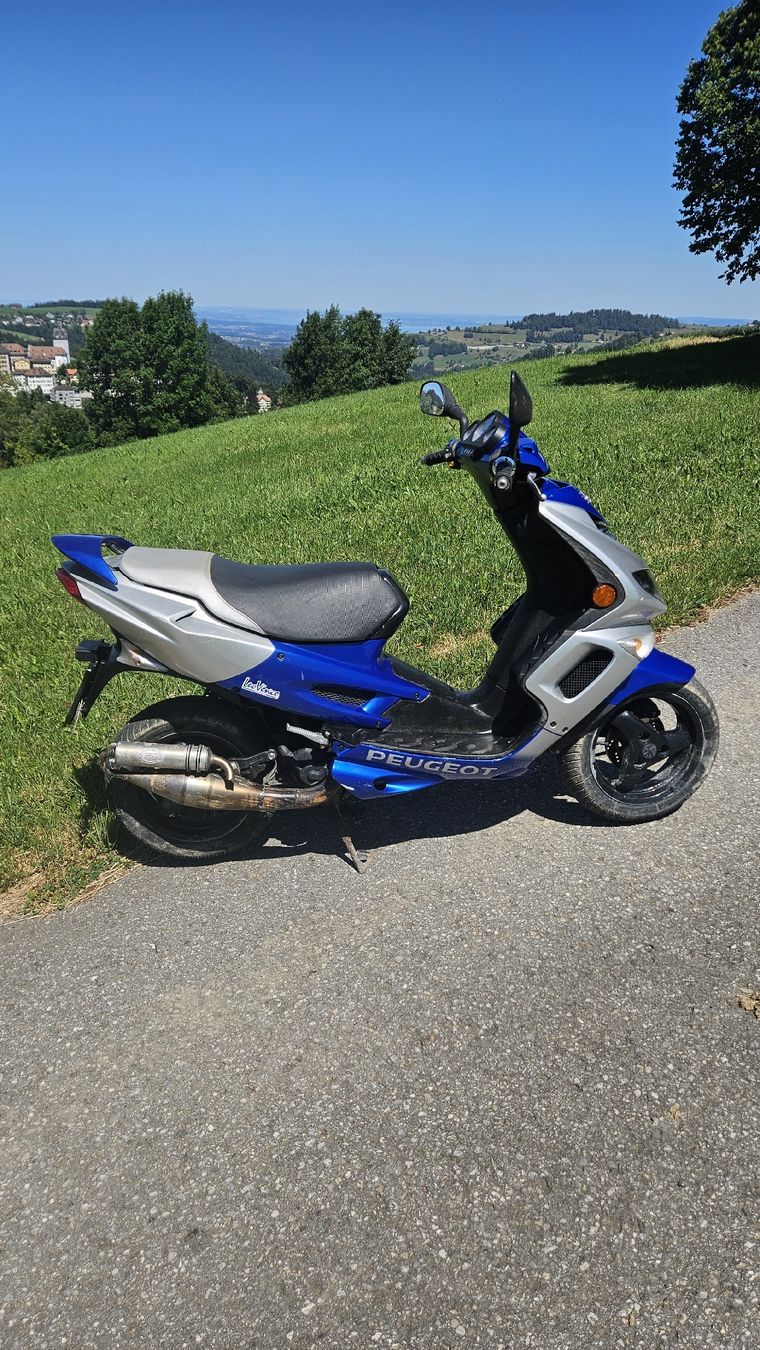Peugeot Scooter: Peugeot Speedfight Roller 50ccm – Usato da Trogen venduto da hae_g56c 2