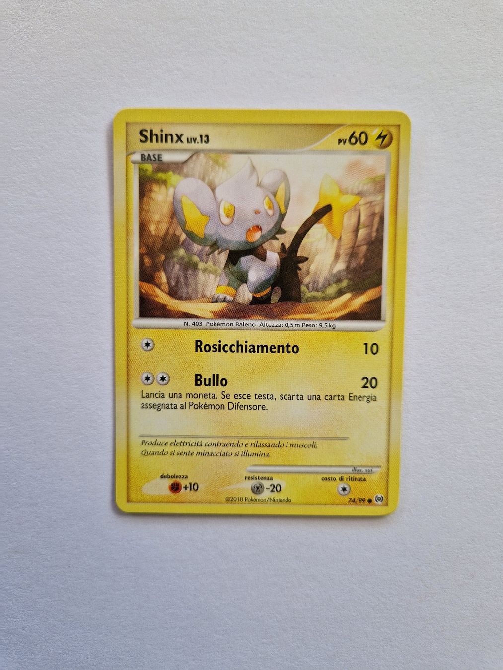 Pokémon Sammelbilder & Trading cards: Shinx - Arceus - IT - Ab 1 – Gebraucht aus Romont FR von raj_sjv9