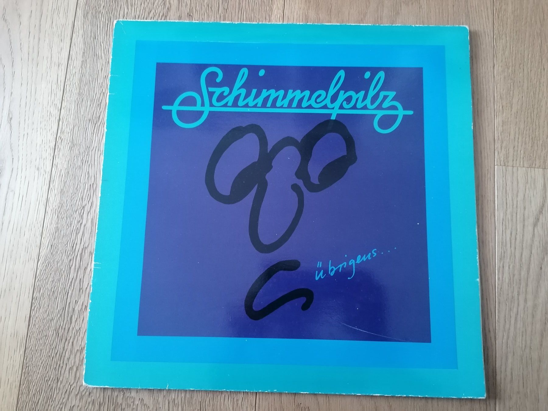 Dischi in vinile: Schimmelpilz Langspielplatte – Usato da Geroldswil venduto da Dirici
