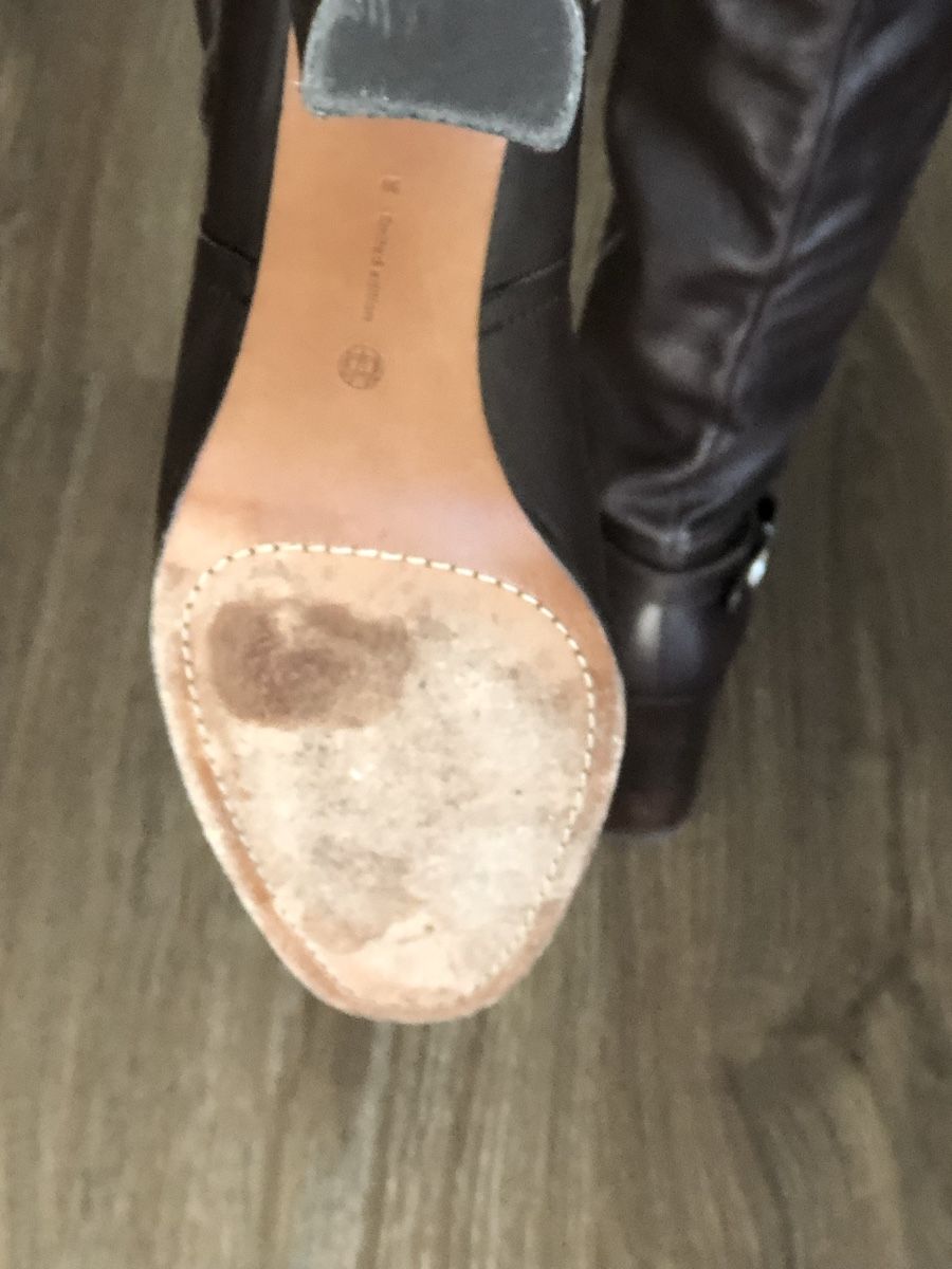 Scarpe da donna: Massimo Dutti Stiefel neuwertig 39 – Nuovo (secondo la descrizione) da zürich venduto da ritas0102 7