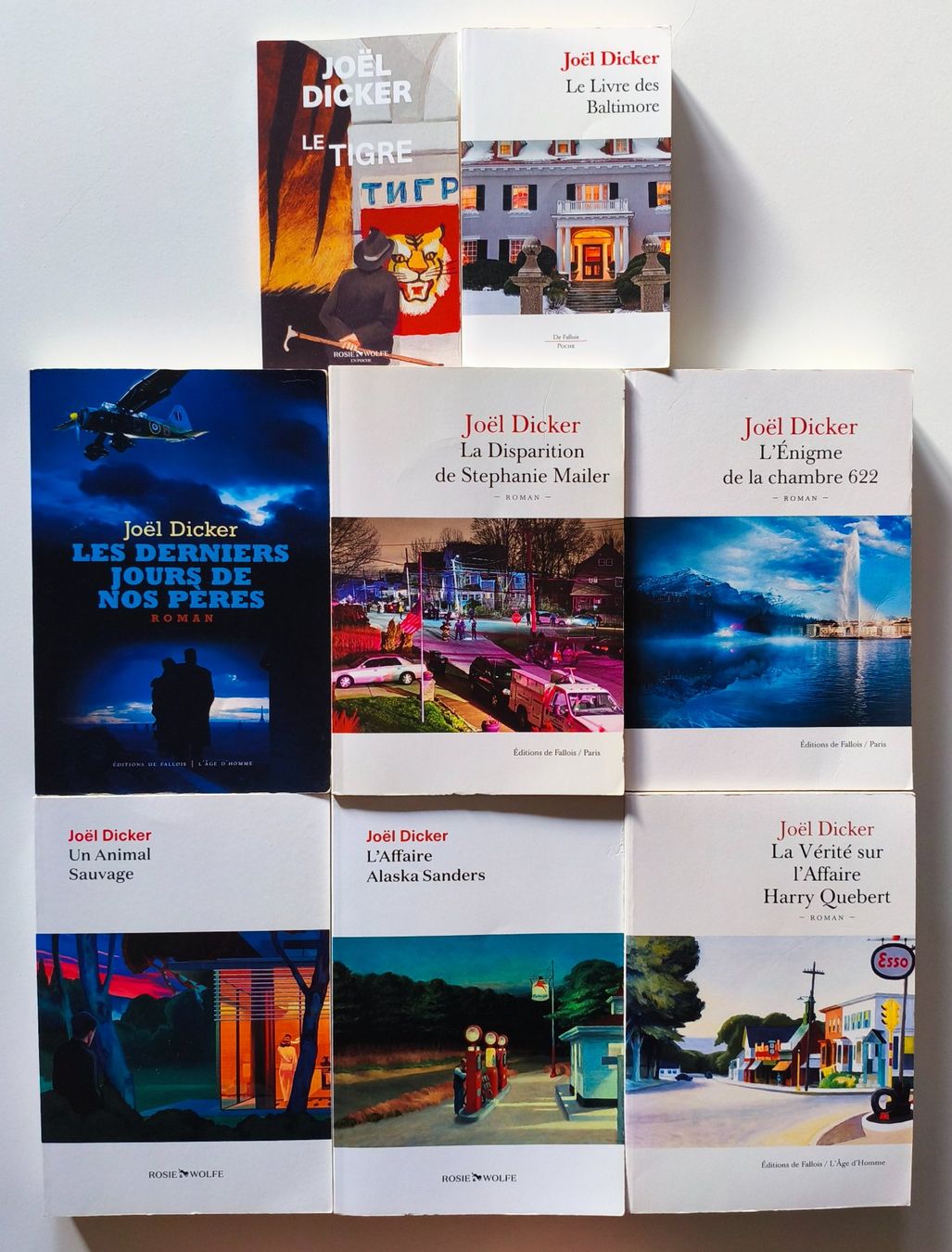 Libri: Lot de 8 romans de Joël Dicker – Usato da Lausanne venduto da genybi