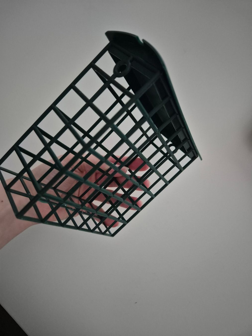 Futter: Vogel Vogelfutter Spender / Feeder – Gebraucht aus Zürich von pau_y8mv 3