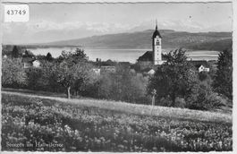 Seengen am Hallwilersee im Frühling