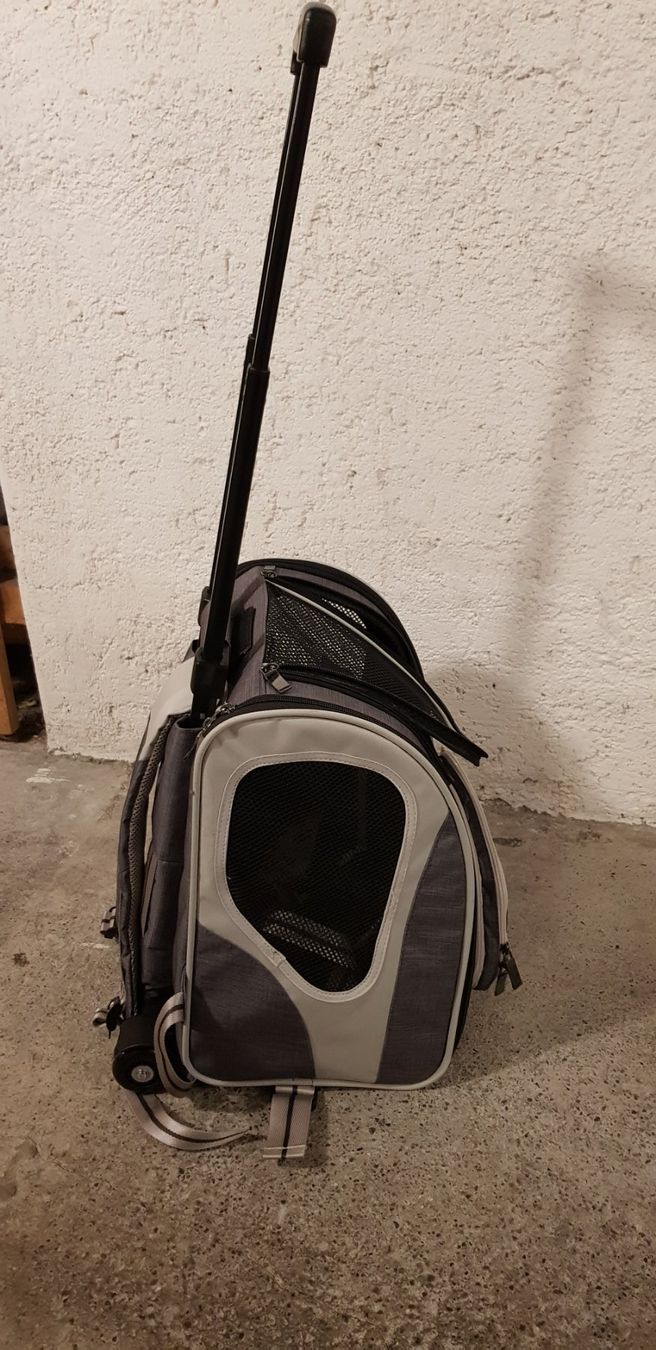 Valigie & Borse: Hunde und Katzen Trolly-Rucksack Chester – Usato da Zürich venduto da fiat72 8