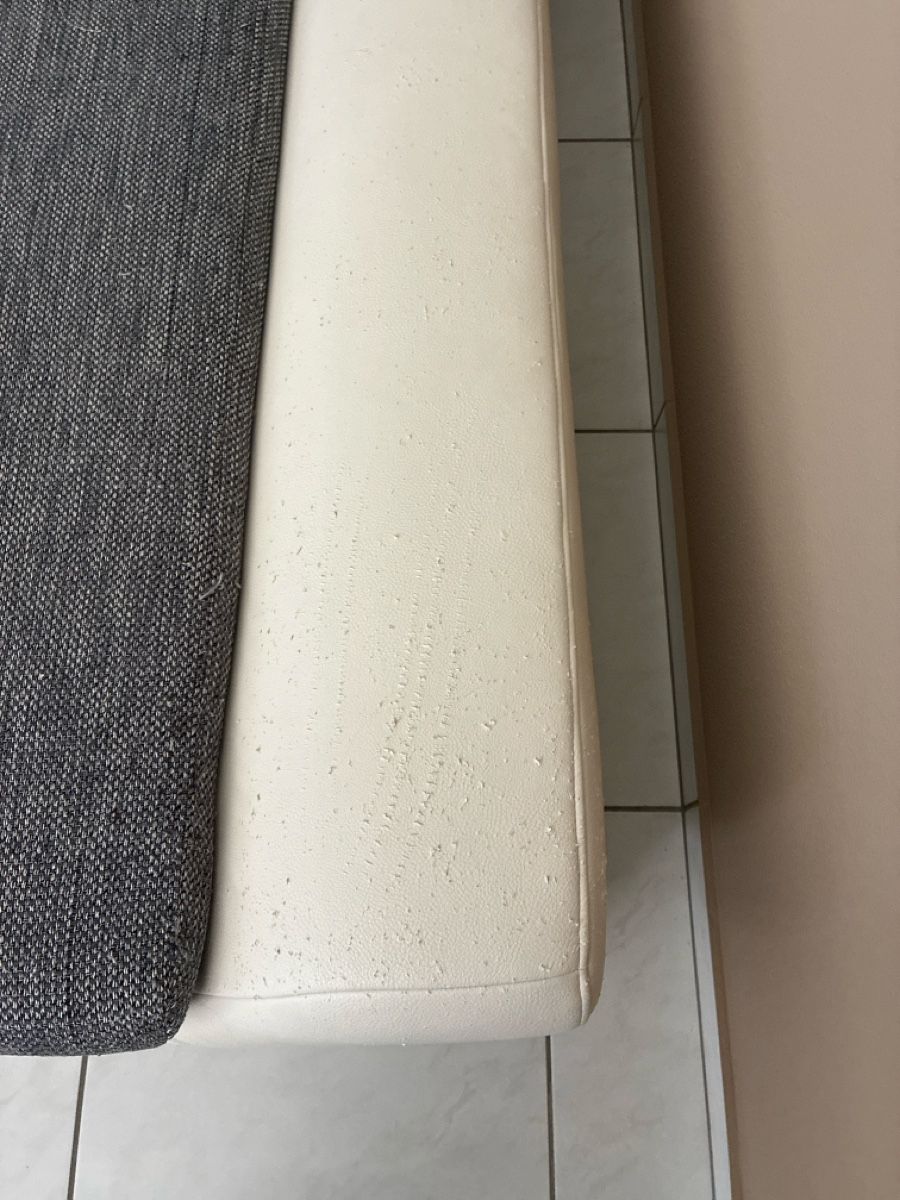 Sofas: Sofas – Gebraucht aus Kriens von Ambri1937 1