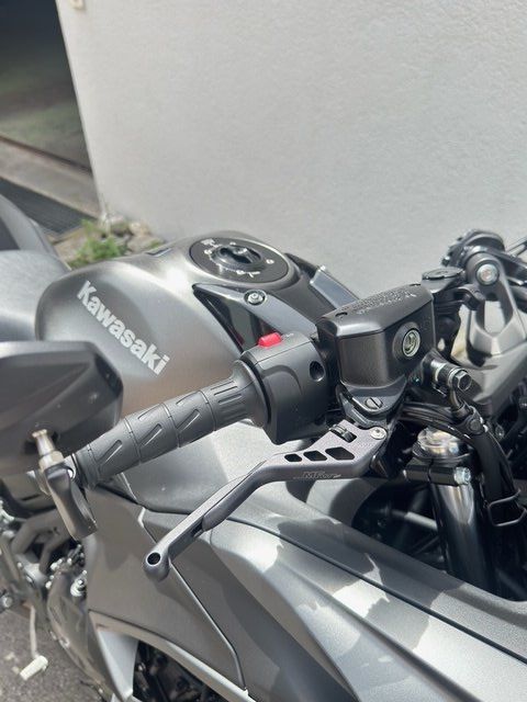 Kawasaki Strada: Kawasaki Ninja 650 – Usato da Rapperswil SG venduto da ber_59jb 2