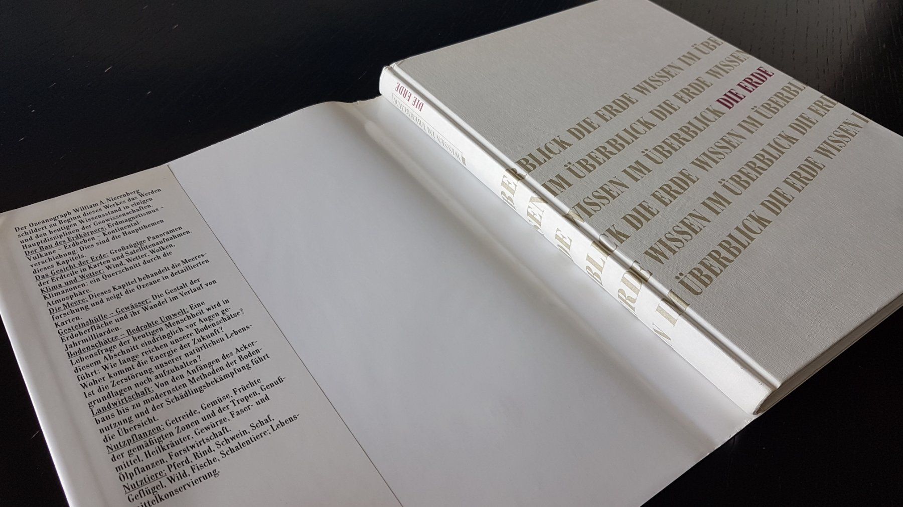 Bücher: Wissen im Überblick - Die Erde – Gebraucht aus Thalwil von sultan03 7