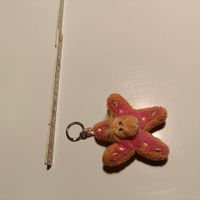 Süsser Schlüsselanhänger Seestern, von Nicci
