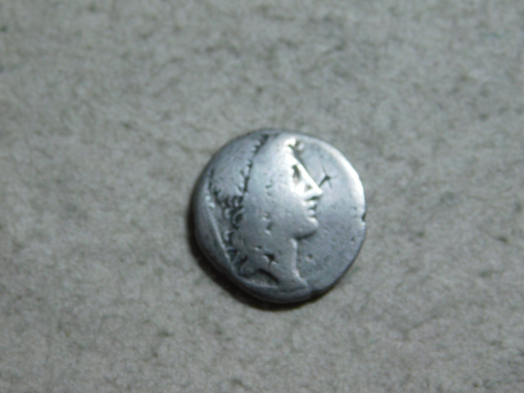 Tutti le monete: Rom: Whs. Denarius Quintus Cassius Longinus, Silber, 55v.Chr – Usato da Solothurn venduto da Mi-cardo 1