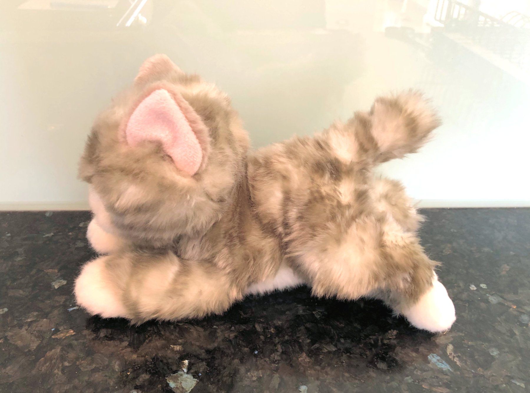 Giocattoli: Plüschtier "Katze" – Usato da Rüti ZH venduto da Jasna89 2