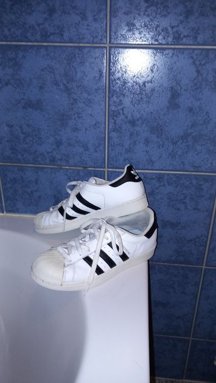 KOPIE Adidas Superstar Damen Gr. US 6 EU 39 1 3 Kaufen auf Ricardo