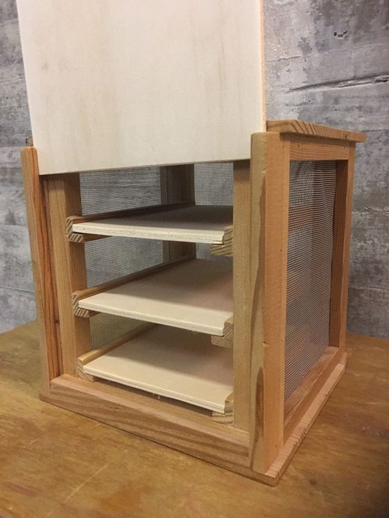 VITRINE D'EXPOSITION D'INSECTES Cadre D'affichage Boîte De Spécimen EUR