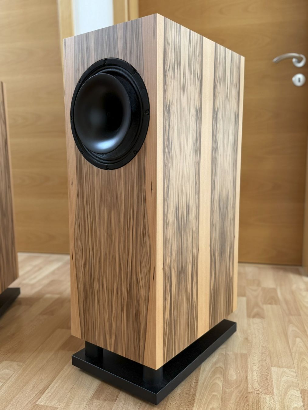 Casse acustiche: TOBIAN Sound Systems 10HC Lautsprecher – Usato da Lichtensteig venduto da Twalt 1