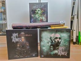 Kickstarter Brettspiel Dawn of Madness All-In