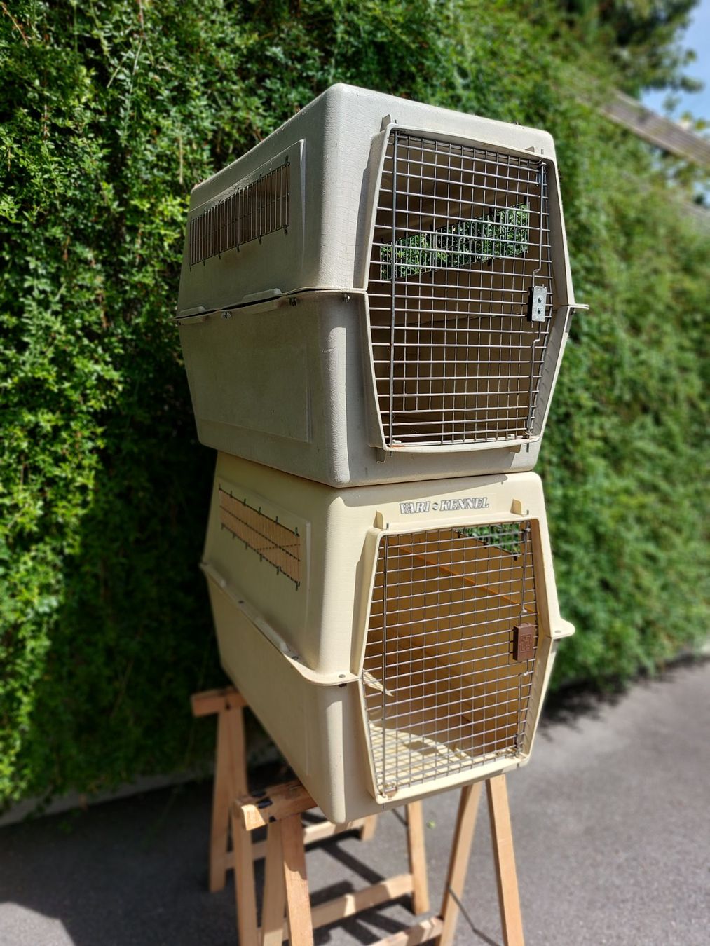 Käfige, Transport & Sicherheit: Hunde Boxen – Gebraucht aus Worblaufen von auzuerch01 1