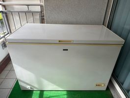 ❄️ Gefrierschrank FrigeluX – 301 Liter – guter Zustand