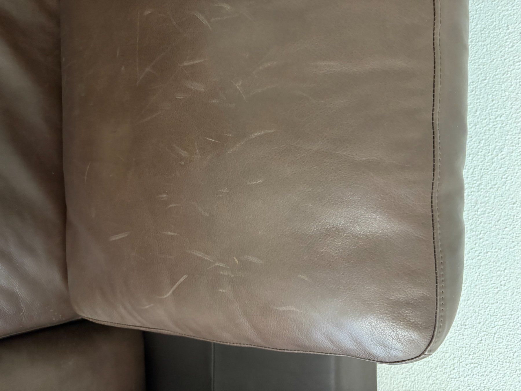 Rolf Benz Sofas: Ledersofa von Rolf Benz – D'occasion à Gelterkinden par Tac100 2