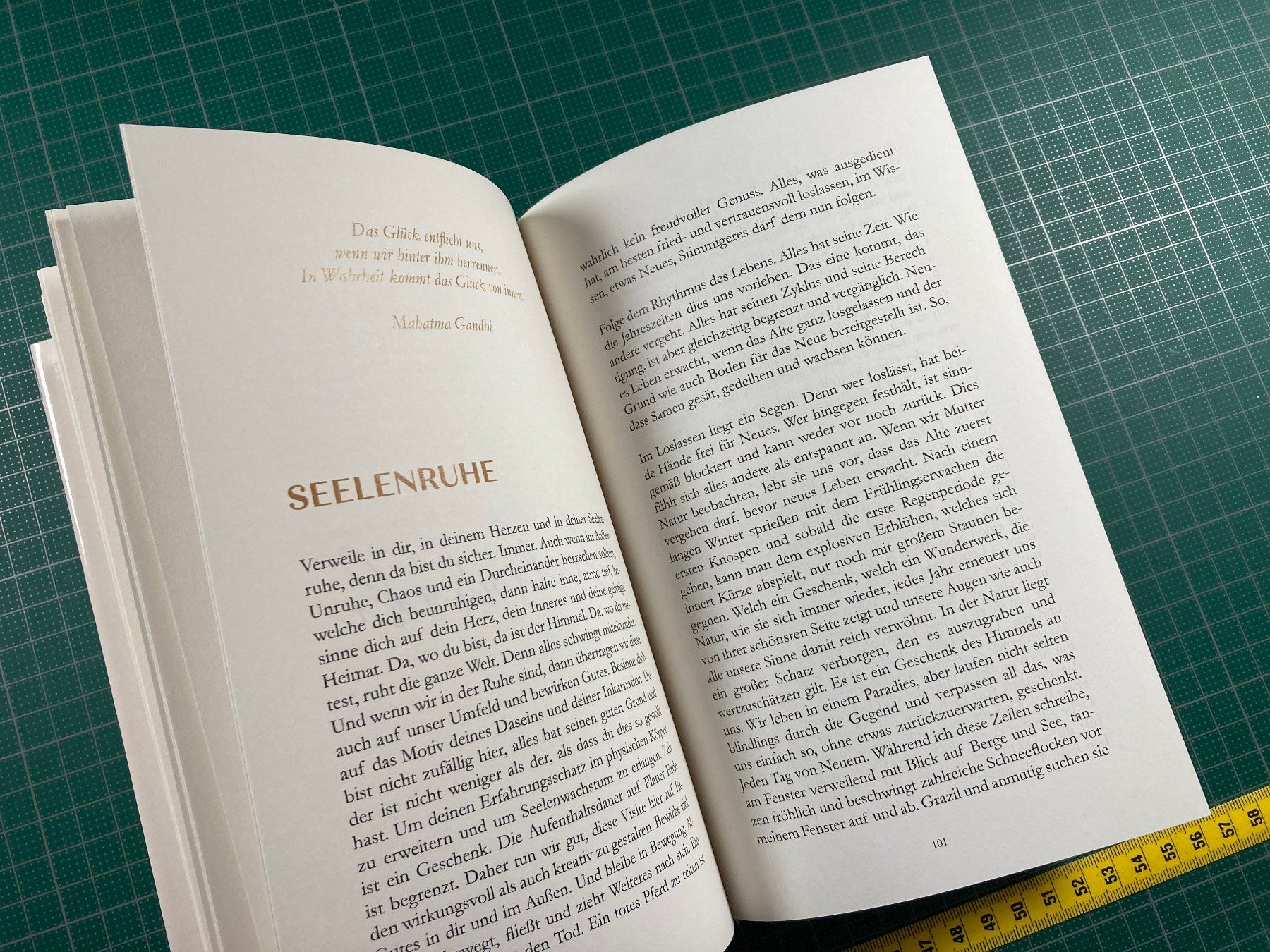Bücher: Barbara Michaela Tanner: Lasse los, sei und werde – Gebraucht aus Lenzburg von fh1 8
