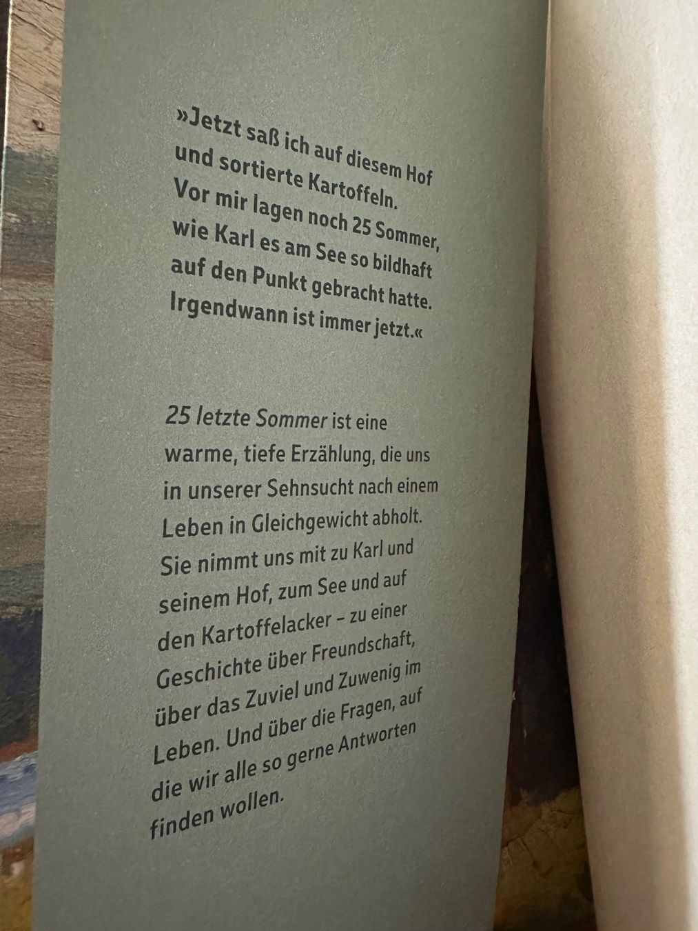 Livres: Stephan Schäfer - 25 letzte Sommer – D'occasion à Meggen par Lonny 2