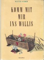 Komm mit mir ins Wallis Land und Leute 1948